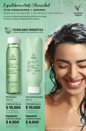 Catálogo Natura Página 294