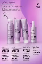 Catálogo Natura Página 295