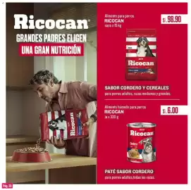 Catálogo Plaza Vea Página 58: Ricocan paté sabor cordero €6,00