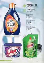 Catálogo Azzorti Página 20: Downy Exótico Intense €45,90, Lavavajilla Líquido Lavax Limón Té Verde €24,90