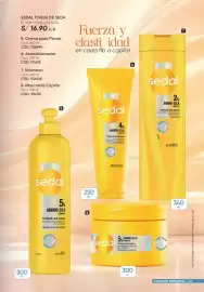 Catálogo Azzorti Página 83: Sedal 5% amino-silk toque de seda mascarilla capilar €300,00, Crema para Peinar €16,90