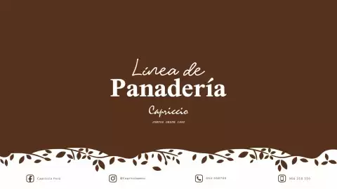 Catálogo Capriccio Página 1