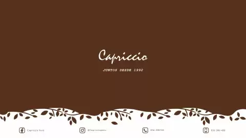 Catálogo Capriccio Página 15