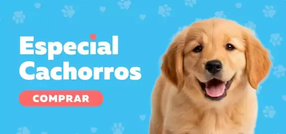 Catálogo Superpet Página 1
