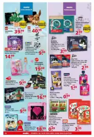 Multi Markt Prospekt Seite 16