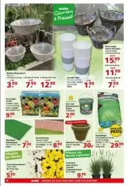 Multi Markt Prospekt Seite 18