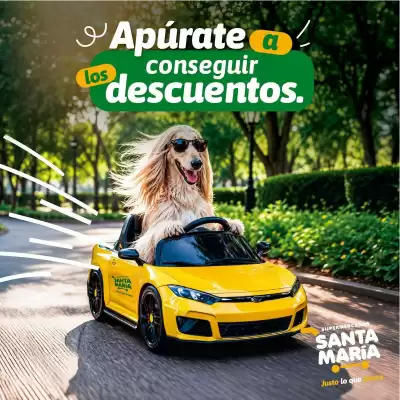Catálogo Santa Maria (válido hasta 17-09)