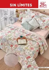 Catálogo Azzorti Página 249