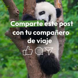 Catálogo Mega Travel Página 8