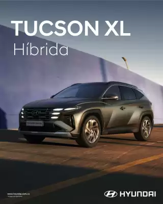 Hyundai (válido hasta 17-09)