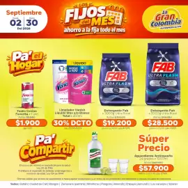Catálogo La Gran Colombia Página 6: Fab detergente ultra floral €28.500,00, Detergente Fab Ultra floral €19.200,00