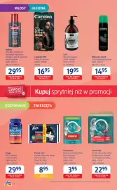 Dm drogerie markt gazetka Strona 2: Purina Felix Karma mokra dla kotów, różne rodzaje €8,95