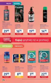 Dm drogerie markt gazetka Strona 2: Purina Felix Karma mokra dla kotów, różne rodzaje €8,95