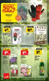 Polomarket gazetka tydzień 36 Strona 6: Cebulki kwiatów* €6,99, ZIEMIA UNIWERSALNA €4,99