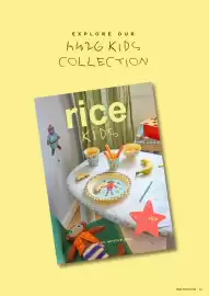 Rice catalogue Page 51