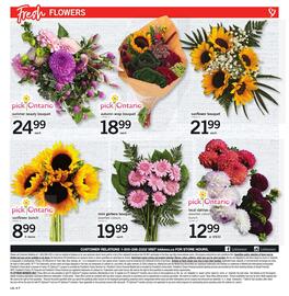 Loblaws flyer week 36 Page 8: Pick ontario local dahlias assorted colours. bunch €12,99, Mini gerbera bouquet €19,99