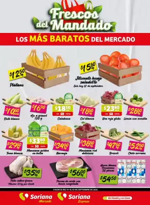 Soriana Mercado (válido hasta 3-09)