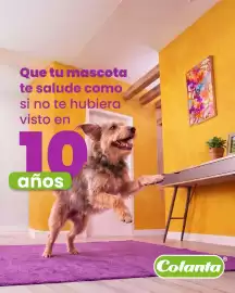 Catálogo Colanta Página 5