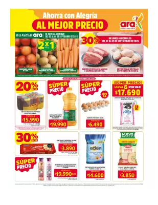 Ara (válido hasta 9-09)