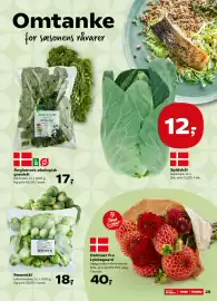 SuperBrugsen tilbudsavis uge 36 Side 25: Rosenkål €18,00, Dahliaer fra Lykkegaard €40,00
