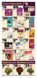 Loblaws flyer week 36 Page 10: Caledon Farms dog treats €8,50, Iams cat food €20,00