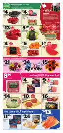 Loblaws flyer week 36 Page 3: Shepherd pepper case €13,00, Pc mandarins €5,00