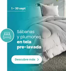 Catálogo Brissa Página 1