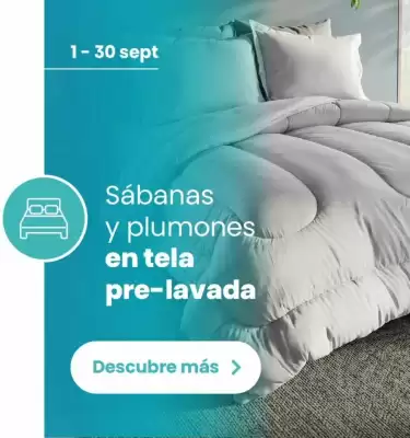 Brissa (válido hasta 30-09)