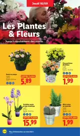 Catalogue Lidl semaine 37 page 48