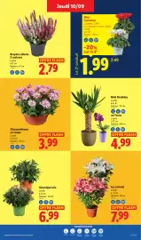 Catalogue Lidl semaine 37 page 49