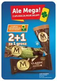 Groszek gazetka | Supermarket Strona 9: Lody Magnum €0,01