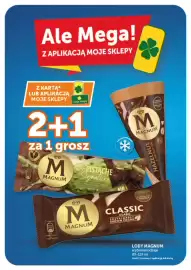 Groszek gazetka | Market Strona 9