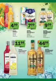 Groszek gazetka | Alkohole Strona 4