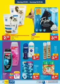 Netto Marken-Discount Prospekt Seite 42