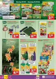 Netto Marken-Discount Prospekt Seite 46