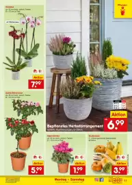 Netto Marken-Discount Prospekt Seite 17
