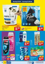 Netto Marken-Discount Prospekt Seite 42