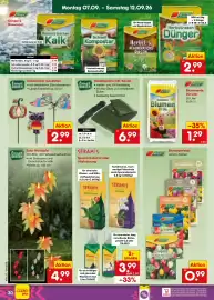 Netto Marken-Discount Prospekt Seite 46