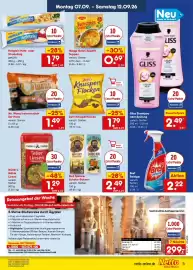 Netto Marken-Discount Prospekt Seite 9