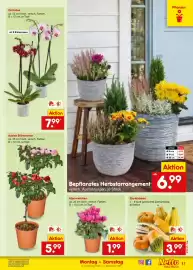 Netto Marken-Discount Prospekt Seite 17