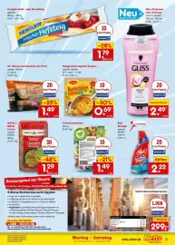Netto Marken-Discount Prospekt Seite 9