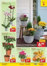 Netto Marken-Discount Prospekt Seite 17