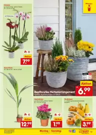 Netto Marken-Discount Prospekt Seite 17