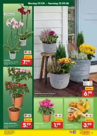 Netto Marken-Discount Prospekt Seite 17