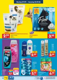 Netto Marken-Discount Prospekt Seite 42