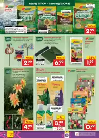 Netto Marken-Discount Prospekt Seite 46