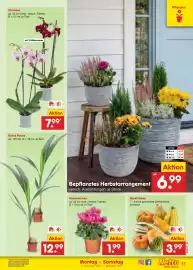 Netto Marken-Discount Prospekt Seite 17