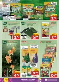 Netto Marken-Discount Prospekt Seite 46