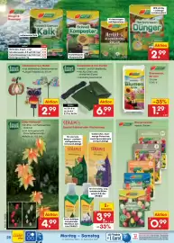 Netto Marken-Discount Prospekt Seite 42