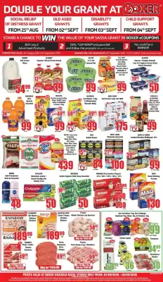 Boxer catalogue